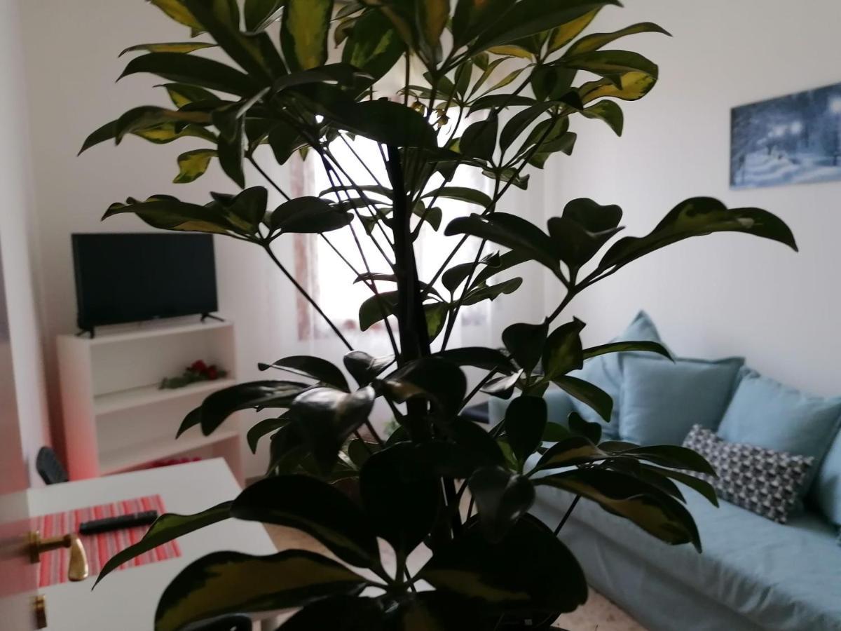 Giuseppe House Appartement Pise